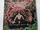 LP DEMIGOD - SLUMBER OF SULLEN EYES