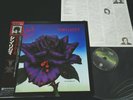 THIN LIZZY - BLACK ROSE A ROCK LEGEND - JAPAN VINYL LP OBI 17PP-2 EX-/EX