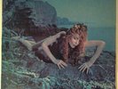 ROXY MUSIC - Siren 1st UK Press VG+ Lp