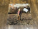 Allman Brothers Band LP w Hype - Brothers and Sisters - Capricorn CP 0111 1973