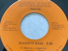 Tickits Goodbye Babe / Hold On Numark obscure Detroit PUNK  power pop 45 7