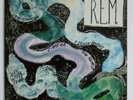 R.E.M. - Reckoning (Vinyl, 1984, Near Mint)