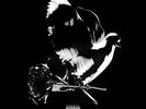 Pop Smoke Shoot For The Stars Deluxe Vinyl LP