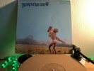 Morning Dew -Same-, psych rock, Original USA , Roulette 1970