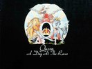 Rock LP O-R - QUEEN - A DAY AT THE RACES - EMI Electrola D 1976 - EX(+)