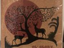 JJ Grey & Mofro - Ol’ Glory 2 LP 180g Vinyl EX OOP Phish Grateful Dead Allman