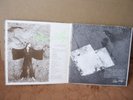 SHAWN PHILLIPS - SECOND CONTRIBUTION Orig A&M Japan LP US 70s FOLK PSYCH M- BKLT