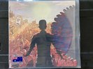 A DAY TO REMEMBER (ADTR) SHARK BITE COMMON COURTESY DOUBLE LP RARE LIMITED VINYL