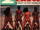 2xLP The 2 Live Crew As Nasty As They Wanna Be NEAR MINT Luke Skyywalker Reco