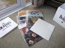 Beatles in Mono vinyl box set