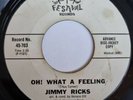 Jimmy Ricks Oh  What A Feeling Festival Demo Northern Soul Oldie R&B Blues