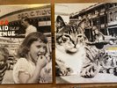Mermaid Avenue Volume 2 & 3 Billy Bragg & Wilco  vinyl record LP RARE Very Nice
