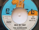45 REGGAE / THE SCORCHERS / HOLD ON TIGHT / CAMEL / LISTEN