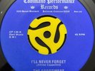 Song Poem Folk Psych 45 Goodtimers - I'll Never Forget -Command Performance HEAR