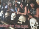 Exodus Pleasures Of The Flesh UK LP Gary Holt Slayer