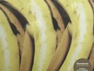 The Charlatans - Between 10th and 11th. NEW & SEALED