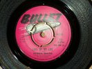 Dennis Walks -love of my life /  shady tree Bullet BU 408
