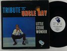 Little Stevie Wonder 