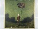 Hidden In Plain View - Life In Dreaming Vinyl Bronze Rose Color Variant