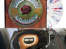 Grateful Dead Anniversary Vinyl Bundle - American Beauty & Workingman's Dead LPs