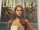 Lana Del Rey Born to Die The Paradise Edition (Vinyl, 2012)