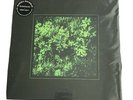Marika Hackman - Sugar Blind & Deaf Heat - Vinyl Record 12 inch sing.. - G14361G