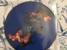 Megan Thee Stallion Savage 1LP Vinyl Blue Picture Disc 12
