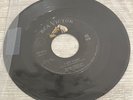 Elvis Presley One Night/I Got Stung 447-0624 RCA Victor 45 7” Original Vinyl