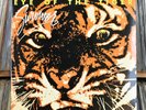 SURVIVOR  'EYE OF THE TIGER'  ORIGINAL 1982 SCOTTI BROTHERS ISSUE M-/NM