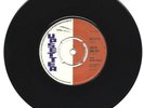 BLEECHERS - CHECK HIM OUT - UPSETTERS - THE VAMPIRE - 7''