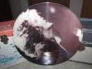 LED ZEPPELIN Picture Disc CLEVELAND 4/27/77 Part One  Beauty
