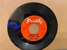 LARRY & MIKE -Queen of the Starlight Dance/ We fell in love Pic-500 45rpm VG++ex