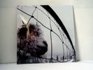 PEARL JAM LP Vs. 1993 Epic Legacy Records Reissue 180 gram  vinyl SEALED