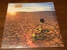 Black Rose by J.D. Souther New Sealed 2018 180g Gatefold Omnivore RE