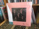 JIM SULLIVAN U.F.O. Vinyl Me Please Coke Bottle Clear Ltd 180g