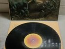 STEELY DAN Katy Lied - 1975 First Press MCA LP - BEAUTIFUL   Vintage Vinyl