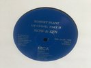 ROBERT PLANT UP CLOSE NOW & ZEN PROMO ONLY RADIO 2 LPs LED ZEPPELIN