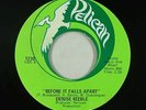Crossover Soul/Funk 45 - Denise Keeble - Before It Falls Apart - Pelican VG+ mp3
