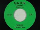 Funk 45 - Gaturs - Wasted/Gator Bait - Gatur - VG+ mp3