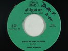 Funk Blues 45 - Jimmy Johnson - Serves Me Right To Suffer - Alligator - VG+ mp3