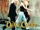 Wide Open Spaces by The (Dixie) Chicks Vinyl LP new Sealed