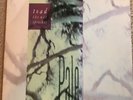 Toad the Wet Sprocket - Pale - LP (Green)