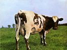 Pink Floyd - Atom Heart Mother (LP, Album, Gat)
