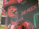 Devil Without a Cause by Kid Rock (Record, 2016) RARE OOP Vinyl 2 LP