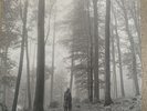 Taylor Swift - Folklore - 1. the 