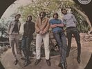 THE BYRDS - MR. TAMBOURINE MAN 2016 US LTD. ED 100% HEAVYWEIGHT SEALED OOP VINYL