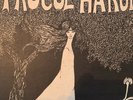 PROCOL HARUM A Whiter Shade Of Pale GARY BROOKER Deram DS 18008 Self Titled 1967