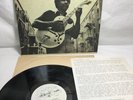 FENTON ROBINSON - Somebody Loan Me a Dime *PROMO + Insert (Alligator 4705) 1974