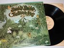 Vintage 1967 LP Beach Boys *SMILEY SMILE* vinyl
