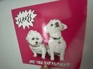 Are You Satisfied? by Slaves  RARE VINYL